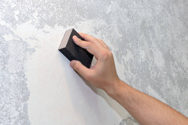 Best Commercial Mold Inspection  in Nicholasville, KY