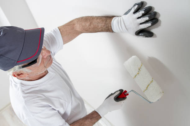 Best Real Estate Mold Inspection  in Nicholasville, KY