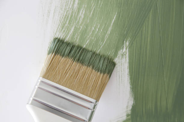 Best Mold Damage Restoration  in Nicholasville, KY