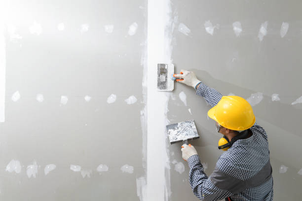 Best Forensic Mold Investigation  in Nicholasville, KY