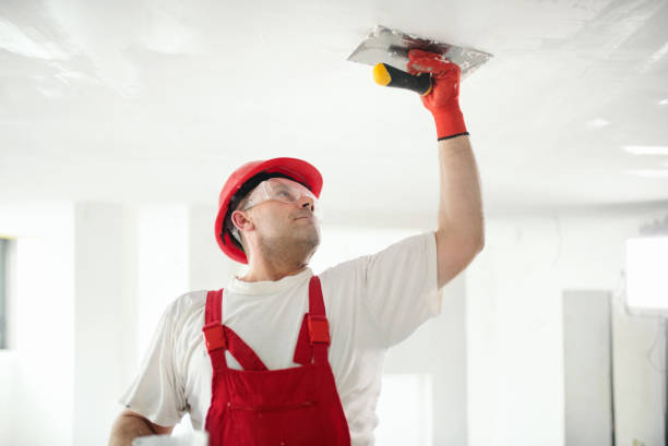 Mold Remediation for Vacation Homes in Nicholasville, KY