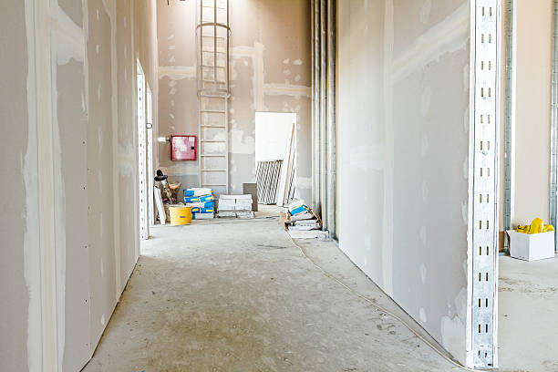 Best Attic Mold Removal  in Nicholasville, KY