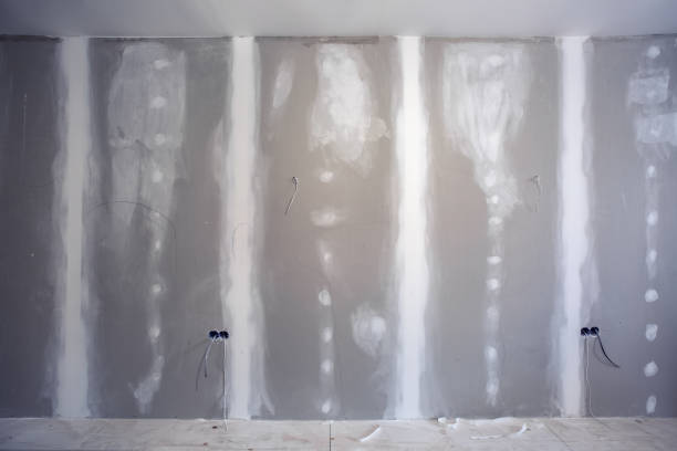 Best Mold Prevention Services  in Nicholasville, KY